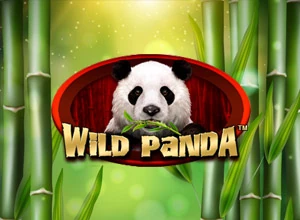 Serunya Main Wild Panda Spadegaming, Si Lucu yang Bikin Betah